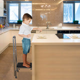 Medical Steel Step Stool w/ Handrail Chrome Non-slip Top Floor Tips