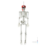 Halloween 5.4  Foot Posable Skeleton Full Body Bone Party Decor