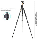60.6" 3-Section Aluminum Travel Camera Tripod Monopod w/ Ball Head