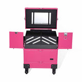 AW Pink 4-Wheel Key-locked Rolling Makeup Case with Mirror